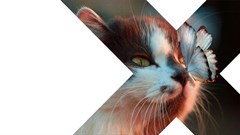 #FairnessFirst: Transforming your business to win in the age of experience