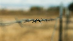 Saai to present resolution for protection of family farmers to UN