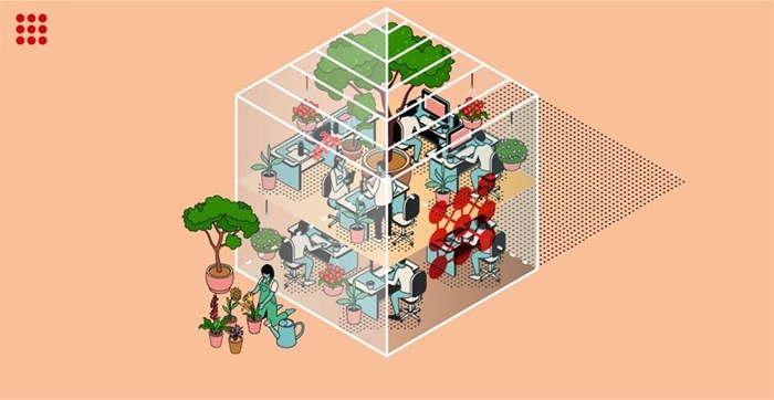 3 ways a Biz Office can "hothouse" company culture