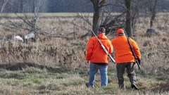 South Africa struggles to manage wildlife ranching: Why it's a problem