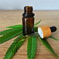 CBD oil is legal in South Africa. Here's what you need to know