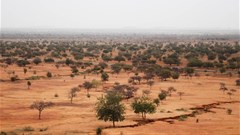 Daylight and not rains 'drives vegetation growth onset'