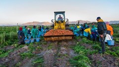 Confronting the City of Cape Town's PHA &quot;myths&quot;