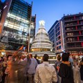 Moët & Chandon to light Golden Tree at V&A Waterfront