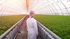 To feed the world in 2050 we need to build the plants that evolution didn't