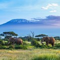 Tanzania, a leader in Africa's business tourism events