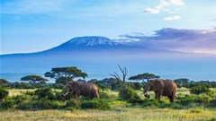 Tanzania, a leader in Africa's business tourism events