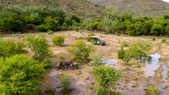 5 suspected poachers arrested in Kruger National Park