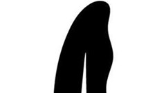 Joe Public tops the 2019 Pendoring rankings