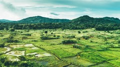 Flanders government grants €1m to the Africa Climate Change Fund