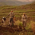 Ethiopia is making maps to help improve soil health