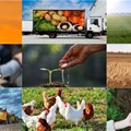 #BestofBiz 2019: Agriculture