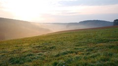 60 recommendations on land reform recommended