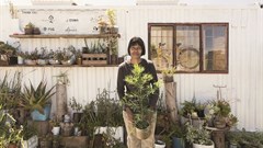 SA wine farm wins international Drinks Business Green Award