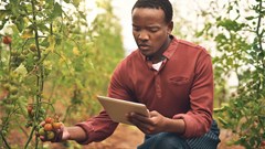 3 African projects to receive Internet Society Foundation grants