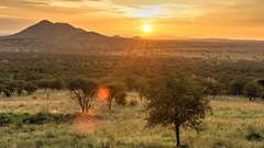 Germany commits additional €8.5m to support Tanzanian conservation efforts