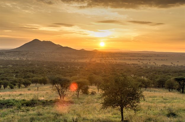 Image source: Gallo/Getty