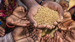 WFP forecasts global hunger hotspots in 2020