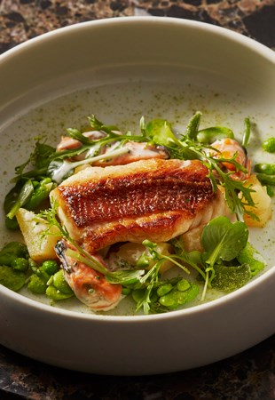 Salsify at The Roundhouse