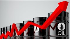 Up she goes. archigraf