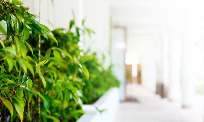 Climate change, online travel, visas and hotel owner's ROI will continue to trend in 2020