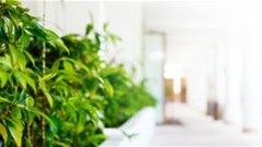 Climate change, online travel, visas and hotel owner's ROI will continue to trend in 2020