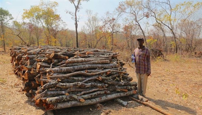 A farmer, standing beside a pile of wood that he harvested for domestic use Copyright: [[A farmer, standing beside a pile of wood that he harvested for domestic use Copyright: Mokhamad Edliadi/CIFOR, CC BY-NC-ND 2.0
 Mokhamad Edliadi/CIFOR]],