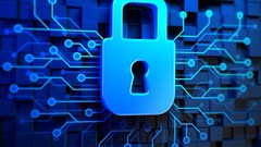 Image source: Gallo/Getty Images.