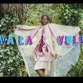 Image source: Viva La Vulva ad on .