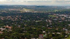 Trees in South Africa are under attack. Why it's proving hard to manage