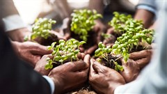 UN food agencies offer support to China