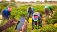 Insights from Senegal: Involving farmers in research is key to boosting agriculture