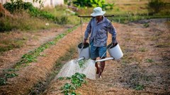 Africa's youth want to cultivate careers, not just crops