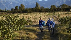 The politics behind South Africa's property clause amendment