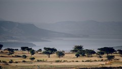 Revolutionise food production system or face mass deforestation, scientists warn