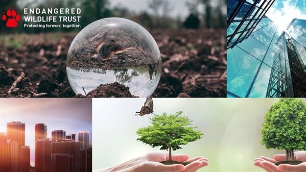 EWT report shows SA companies need to elevate biodiversity disclosure