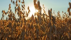 #Budget2020: R500m set aside for restitution could result in resolution of more land claims