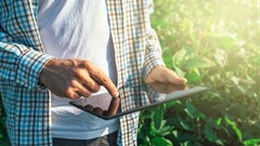 Mobile network operators can drive the revival and growth of agricultural sector