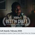 Howard Audio receives another craft award From IDidThat
