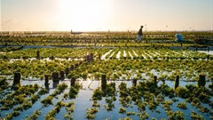 Being water-smart must become the new normal for business