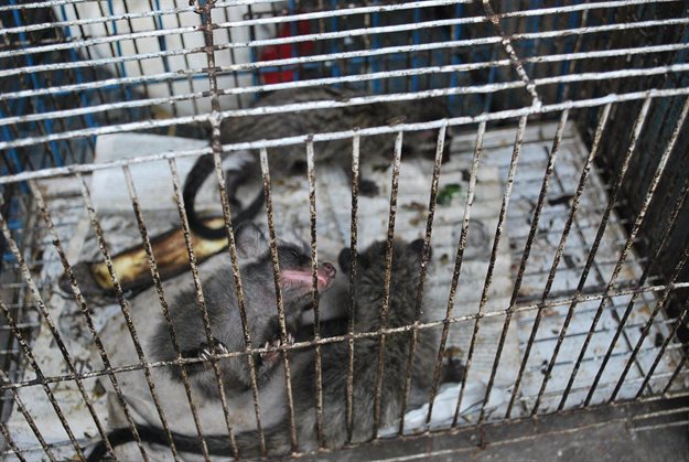 Image by Krotz, CC BY-SA 3.0,