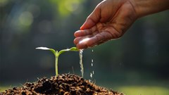 #Covid19: Organised agriculture's role in sustaining food production