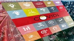 The Bizcommunity: Not taking lockdown lying down