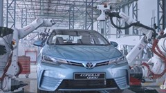 #OrchidsandOnions: The 'quest' for realism