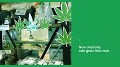 What is shaping culture? From drug to Drug™ in 365 days