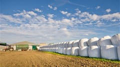 Wholesalers requested to provide list of agricultural products