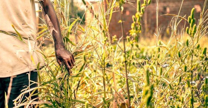 #Covid19: Global food crises report reveals impact on vulnerable countries