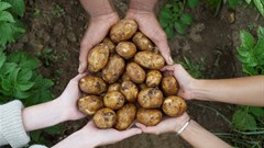 Call for corporates, individuals to support Covid-19 feeding initiative