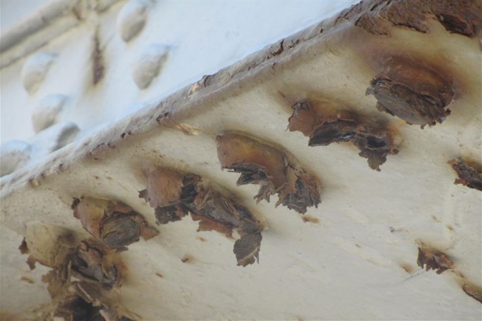 Can South Africa's coastal infrastructure survive corrosion?