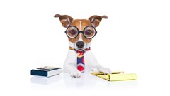 How to calculate employees Covid-19 UIF TERS benefit payout